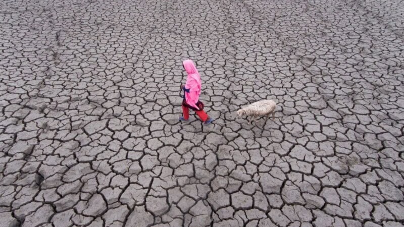 Drought warning issued as Pakistan deals with dwindling rains