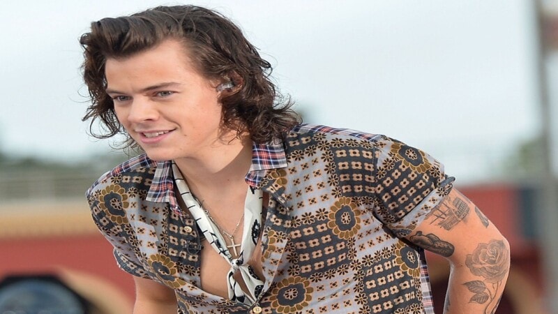 Harry Styles Net Worth: The Journey of a Global Superstar