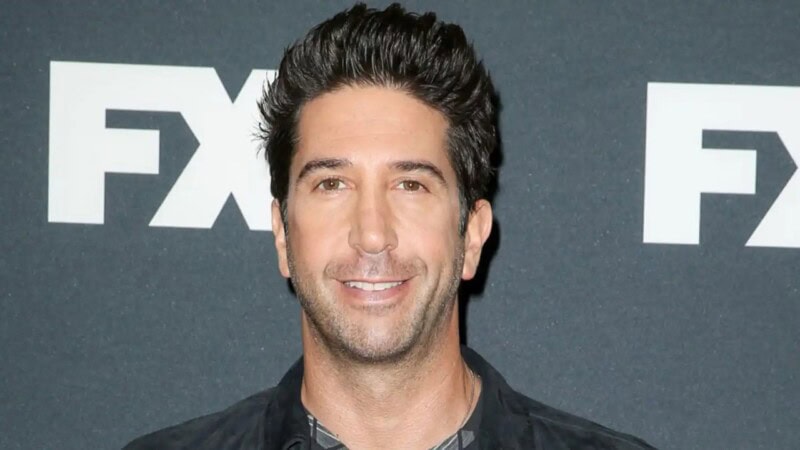 David Schwimmer Net Worth: A Look at the Life and Career of a TV Icon
