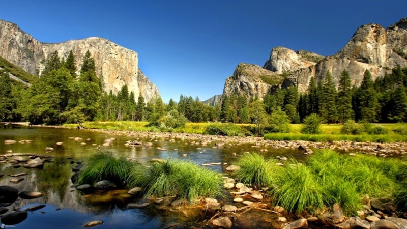 Why US National Park Staff Cuts Sparked Major Backlash?