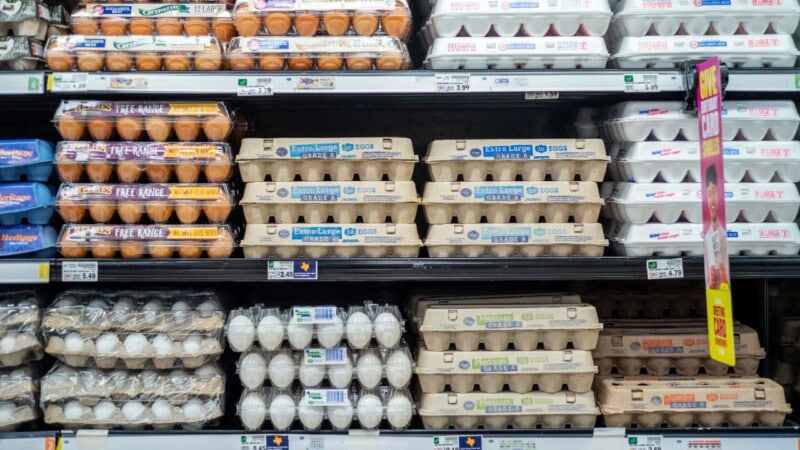 Eggs prices soar worldwide – What’s driving the surge?
