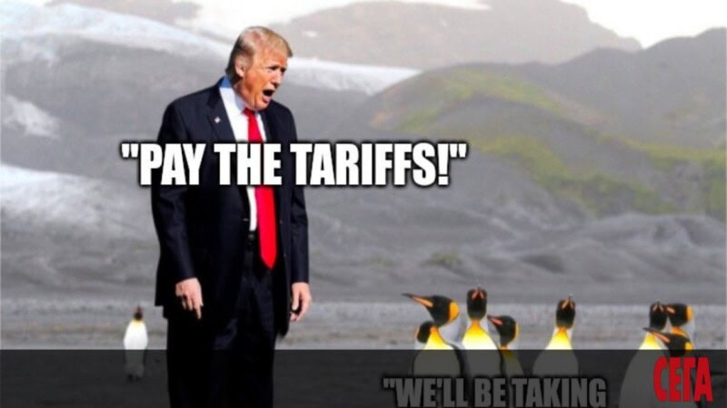 Donald Trump Tariffs Penguins Take an Icy Turn: 10% Duties on Penguins