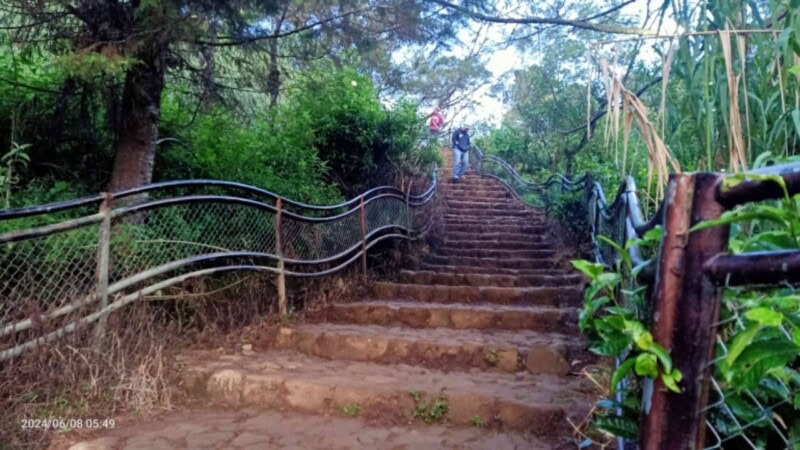 Discover Scenic Trails Around Bukit Tangga: A Perfect Blend of Adventure and Nature