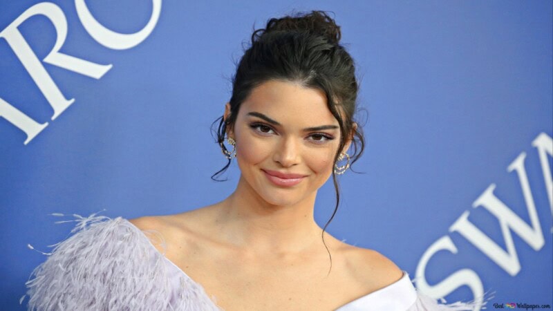 Kendall: The Rise of a Modern American Icon
