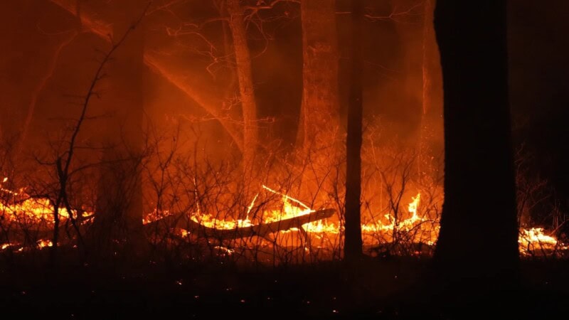 NJ Wildfire Update: Thousands Evacuated as 8,500 Acres Burn