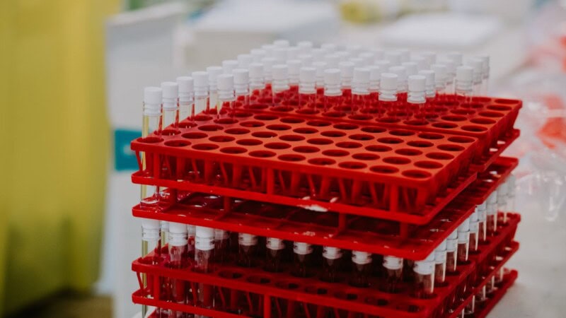 BPC-157 Peptide: A Hypothetical Multidimensional Tool for Research