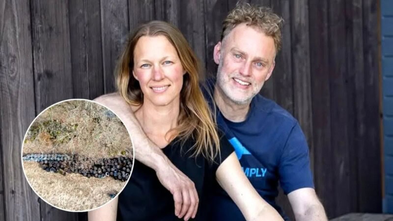 Danish couple leaves 158 barrels of human poop at their eco-retreat