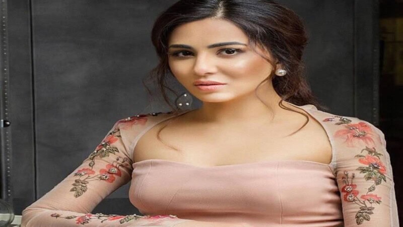 Ushna Shah: A Rising Star of Pakistani Entertainment