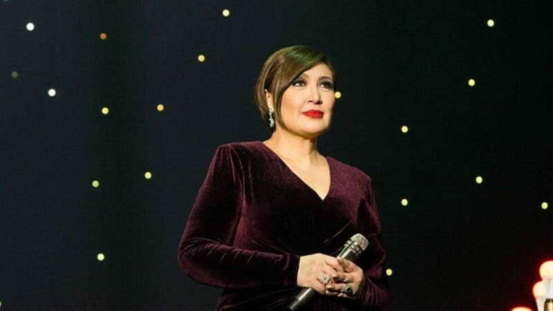 Sharon Cuneta Net Worth: A Deep Dive into the Megastar’s Fortune