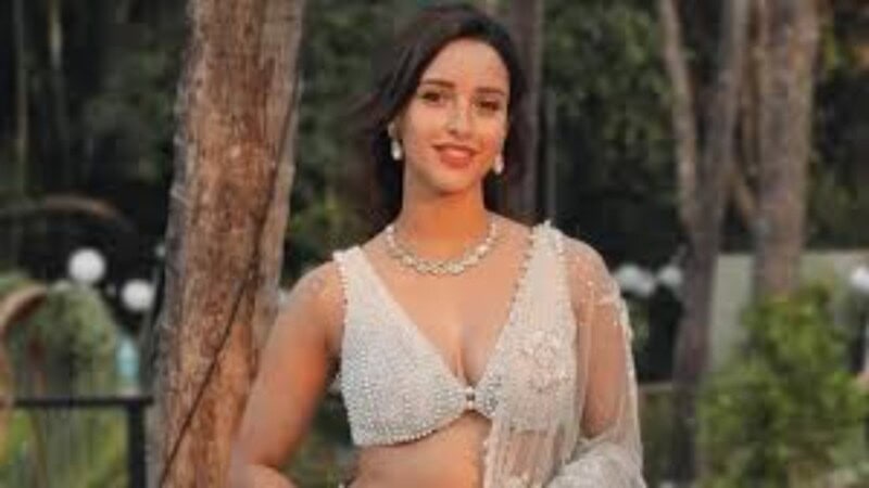 Triptii Dimri: Rising Star of Indian Cinema