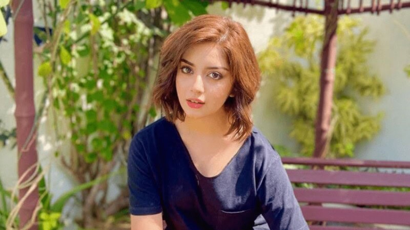 ‘I don’t need anyone’s permission to live my life’; Alizeh Shah will not bow down to trolls