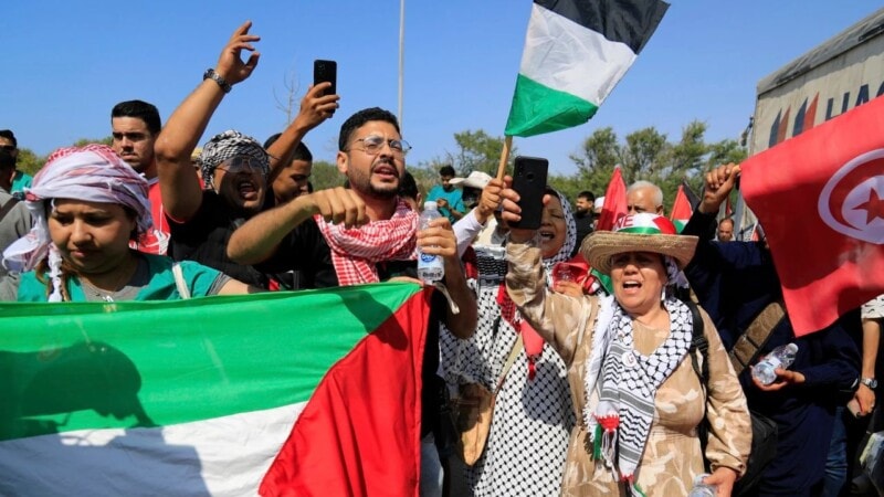 Pro-Gaza activists ‘stopped in Libya, Egypt’