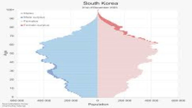 Korea Population: Insights into North and South Trends