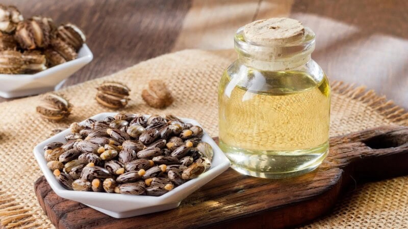 Castor Oil: A Timeless Natural Remedy for Skin, Hair, and Health