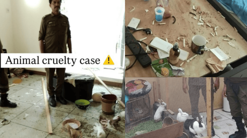 Lahore influencer denies animal abuse allegations, claims photos misleading