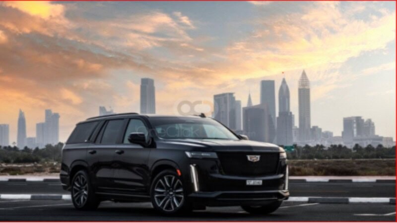 Things to Keep in Mind While Renting a 7 Seater Car in Abu Dhabi