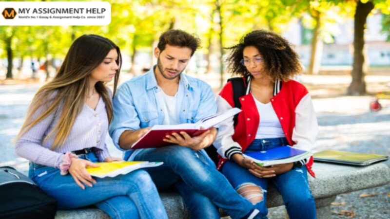 Boosting Academic Performance with Professional Essay Writing Support