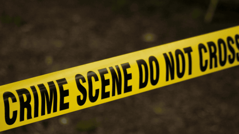 Prime suspect arrested in Chitrali student Shehla Yaqoob’s case