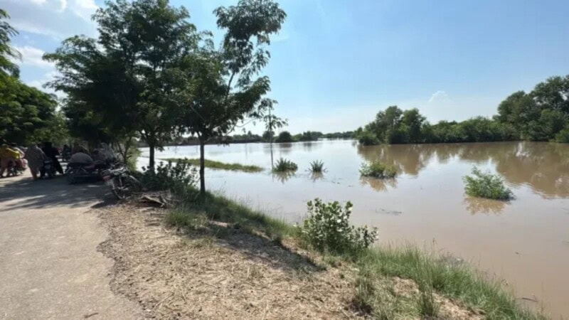 Rising Chenab puts Jalalpur Pirwala at risk as authorities evacuate 500,000 residents