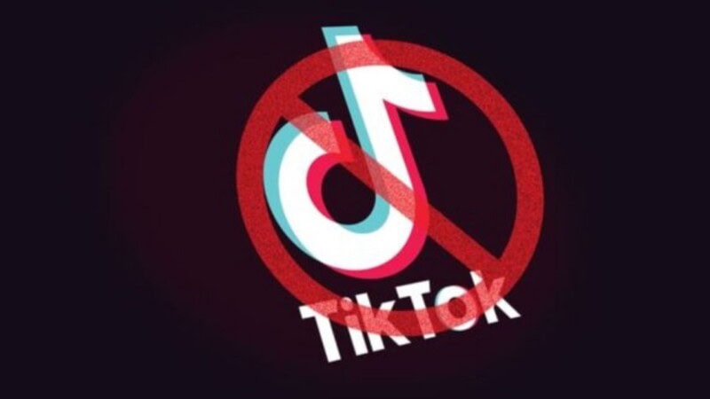 Resolution in Punjab Assembly calls on federal govt to ban TikTok