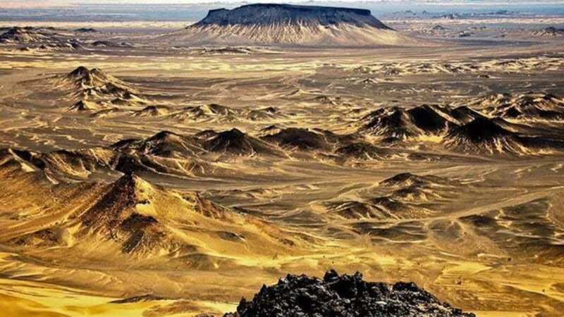 Japan shows interest in investing in Reko Diq mines