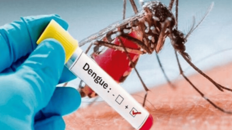Govt scrambles response as Islamabad reports 52 dengue cases in a day