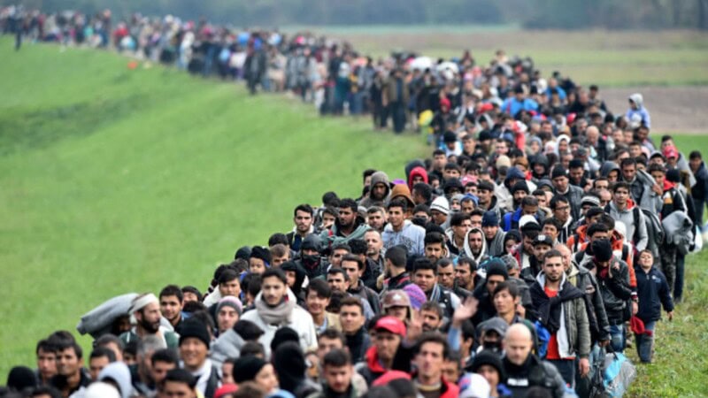 20 European countries urge EU Commission to repatriate illegal Afghan migrants