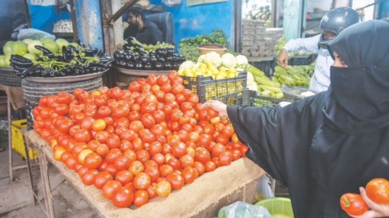 Here is why tomato prices are high across Pakistan