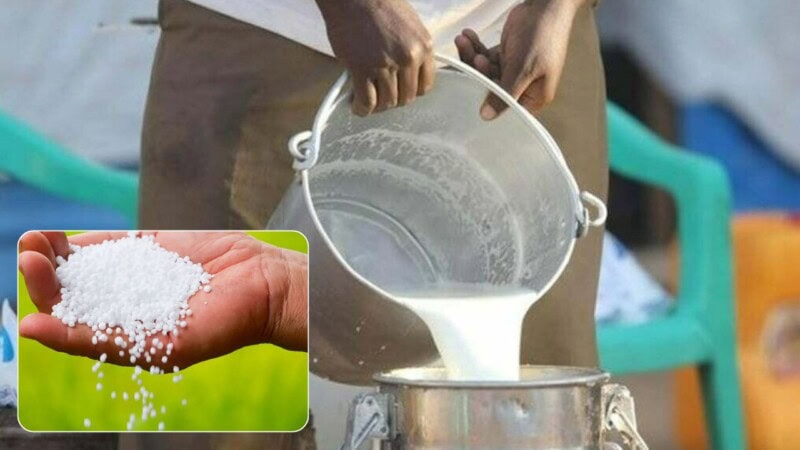 27 shops sealed in Karachi for selling milk mixed with urea