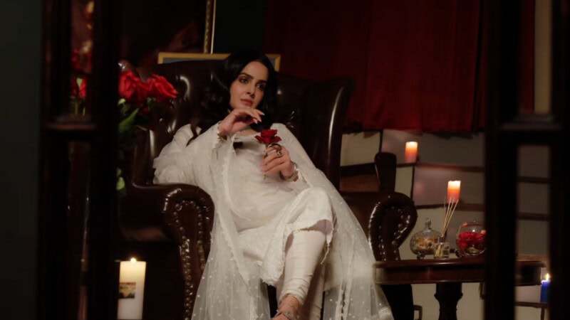 Saba Qamar rises as the star of the year with new upcoming drama