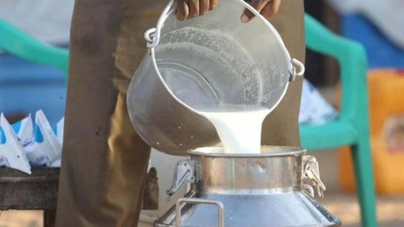 All Karachi milk samples declared unfit for consumption