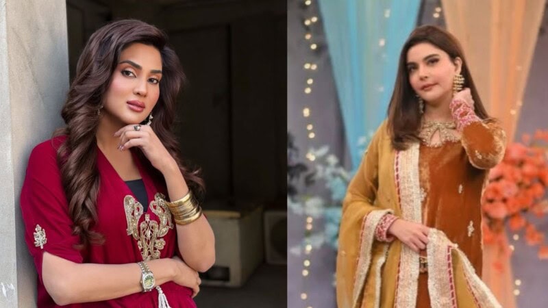‘Insulting people is wrong’: Fiza Ali is not ok with Nida Yasir’s remarks about delivery riders