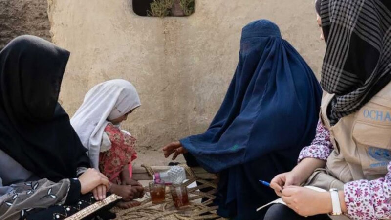 UN urges Taliban to let Afghan women return to work