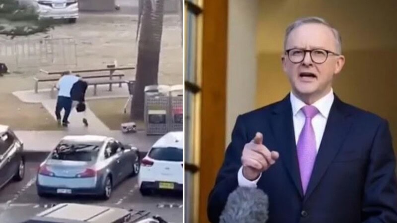 Fact Check: Did Australia ban visas for Pakistanis after Bondi Beach attack?