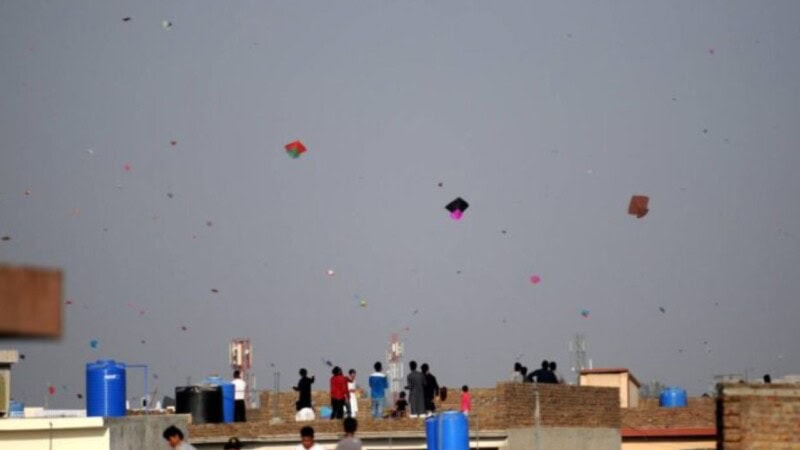 Punjab announces free public transport in Lahore during Basant days