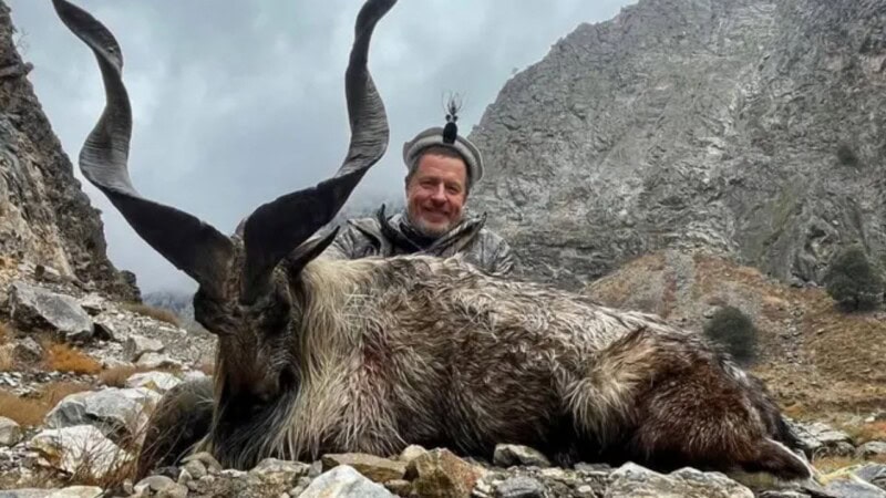 Russian man pays $68,000 to hunt Kashmiri markhor in Chitral