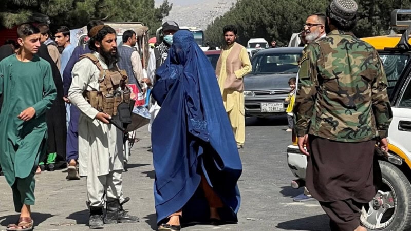 Taliban law permits husbands to beat wives without criminal penalty