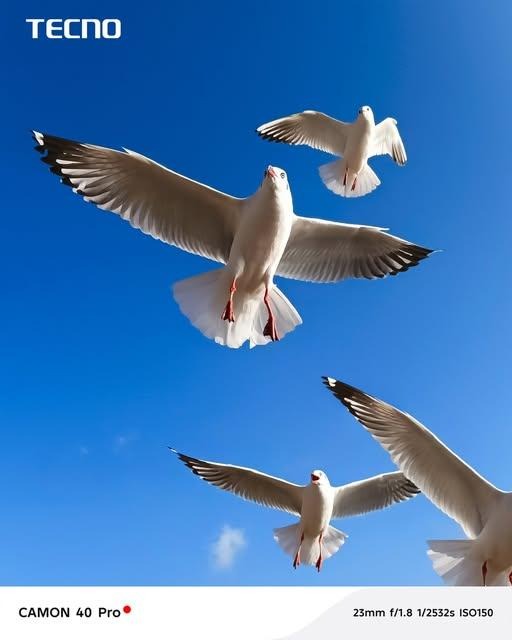 No photo description available.