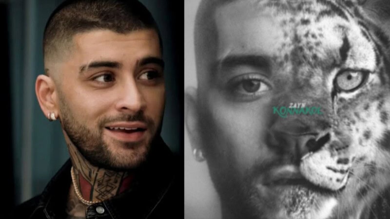‘I’m literally half Pakistani’: Zayn Malik says his heritage sets him apart