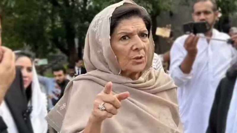 Aleema distances herself from PTI affairs, says only wants Imran Khan released