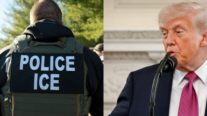 Trump backs proposal to rename ICE as NICE