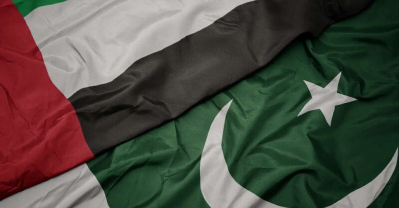 ‘Male fide propaganda’: Minister rejects claims of Pakistanis being targeted in UAE