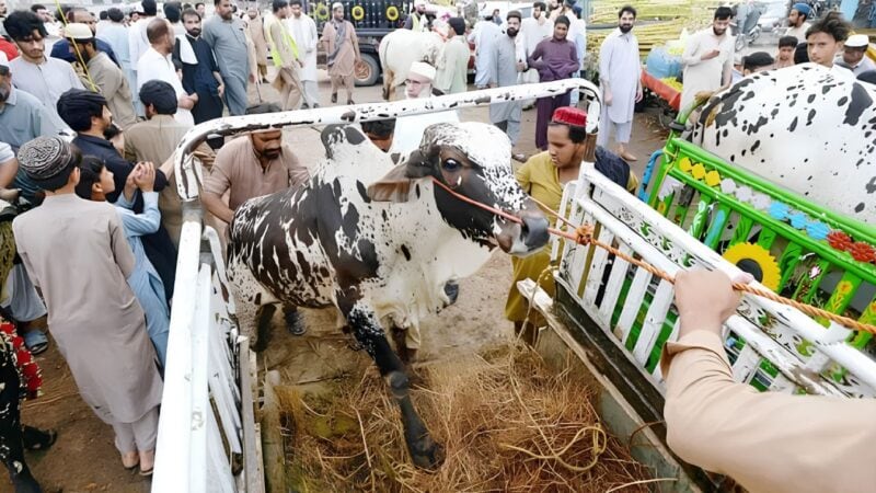 ‘Back to work on third day of Eid’: Internet reacts to disappointing holidays notification