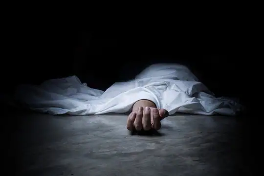 Seven killed as loader rickshaw carrying wedding guests plunges into canal