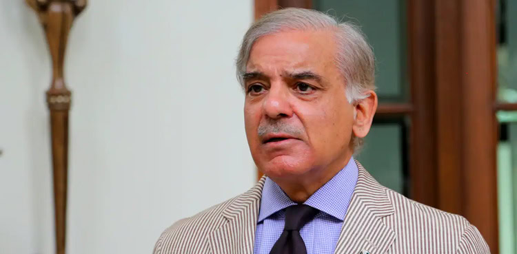 PM Shehbaz’s daughter, son-in-law acquitted in Saaf Pani Company case