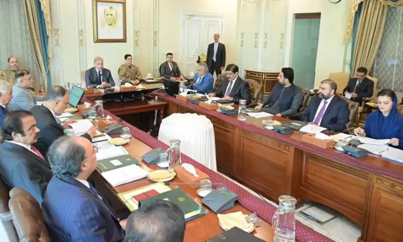 Punjab takes biggest hit as NEC slashes development budget by Rs1.04tr