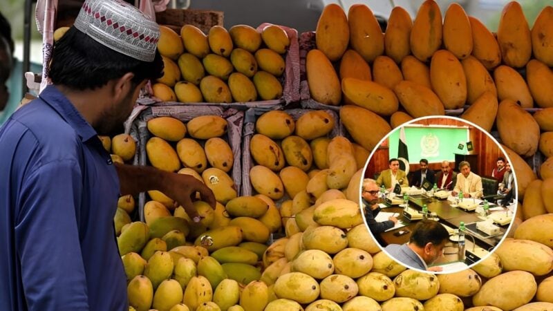 Mango production drops by 400,000 tonnes as artificial sweetener takes market share