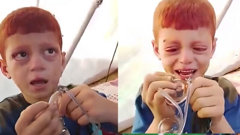 Displaced Palestinian boy breaks down over broken glasses