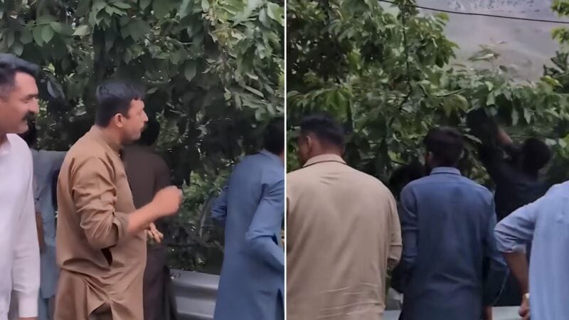 ‘Seek permission first’: Hunza locals angered at Punjab Police personnel plucking fruit from orchards