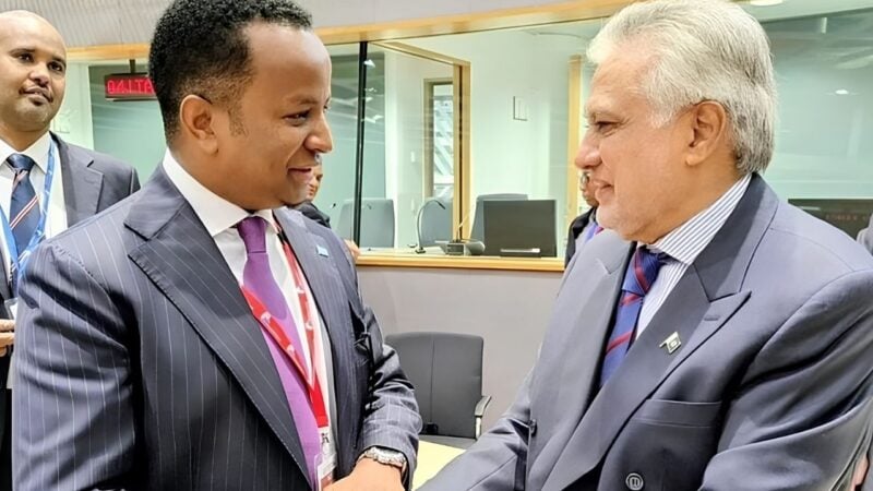 Dar calls Somali foreign minister to secure release of 11 Pakistani seamen held hostage since April